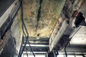 Best Asbestos and Lead Testing During Mold Inspection  in Parksdale, CA